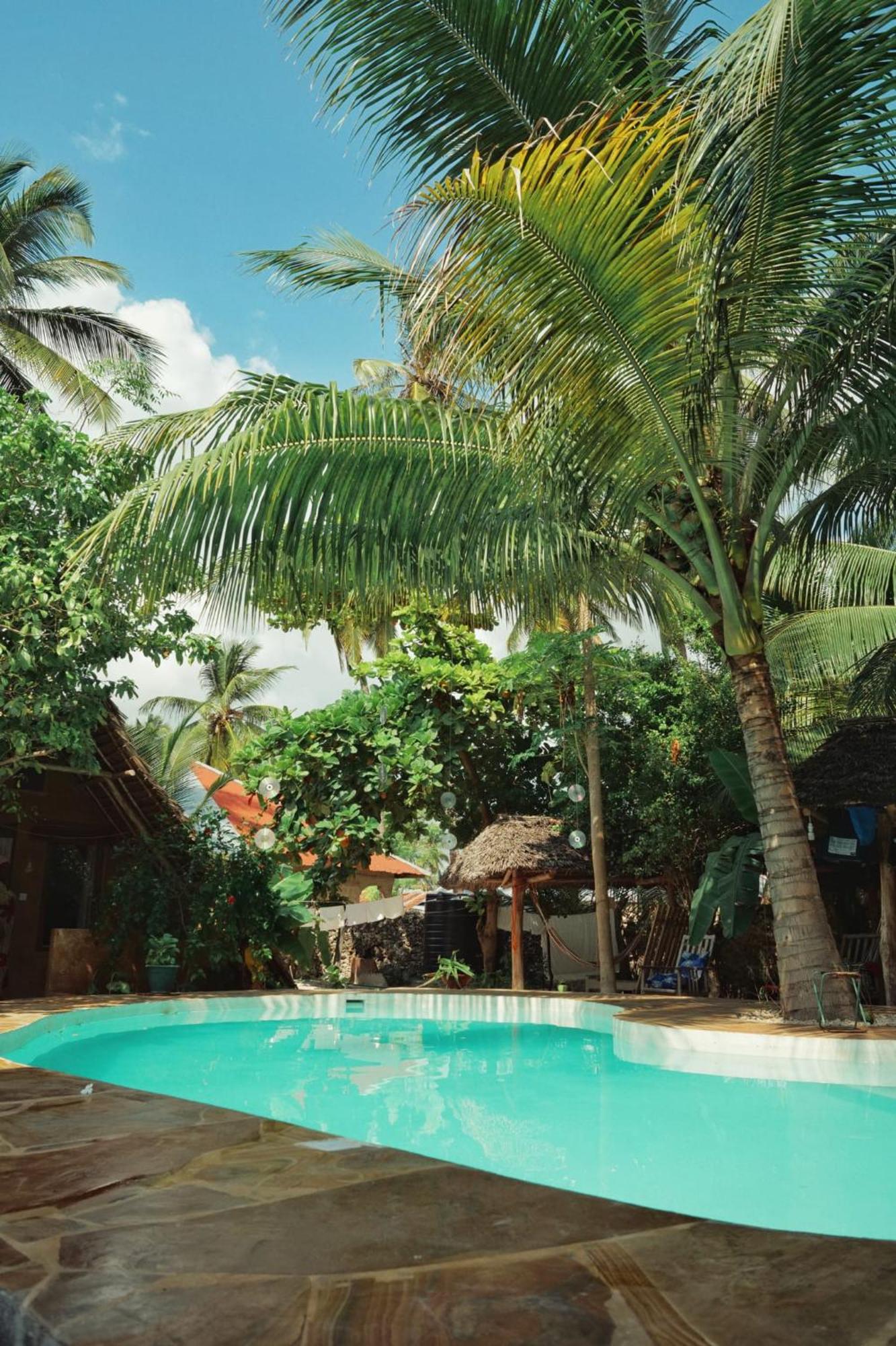 Ocean Boho House Bed & Breakfast Jambiani  Eksteriør bilde